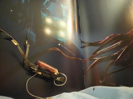 une plong�e dans le monde